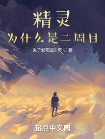 精灵：为什么是二周目？封面