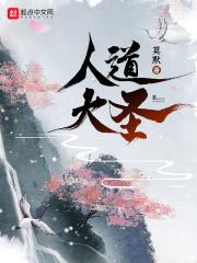 大道无极封面