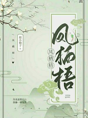 凤栖梧封面