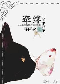 [兄弟战争]牵绊封面