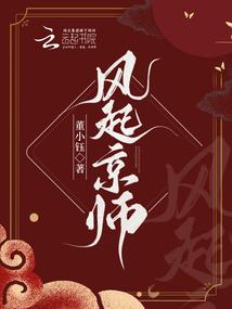风起京师封面