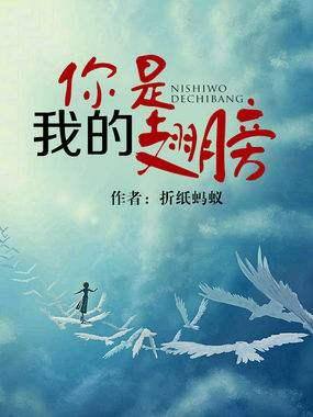 你是我的翅膀封面