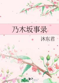 乃木阪事录封面