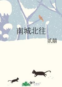 南城北往封面