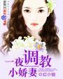 一夜调教小娇妻封面