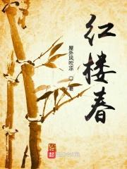 红楼春梦及赏析封面