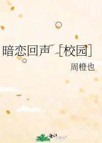 暗恋回声［校园］封面