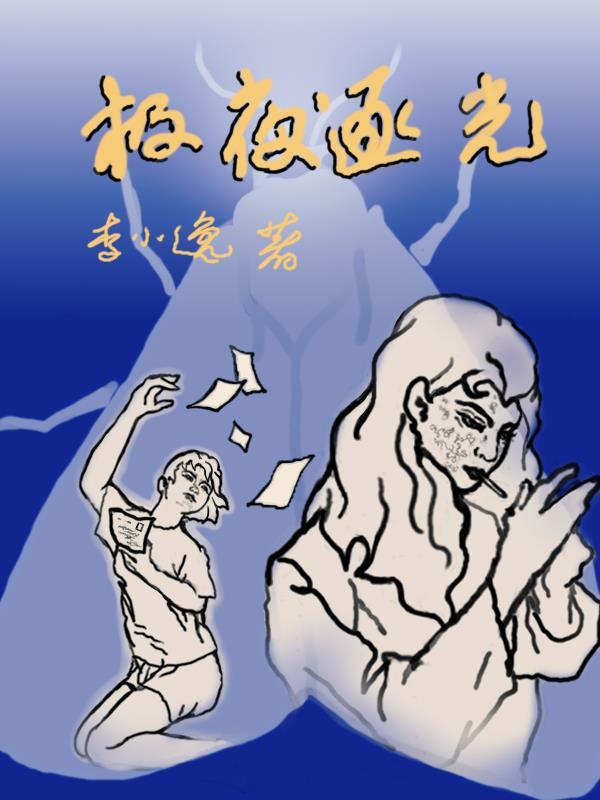 极夜逐光封面