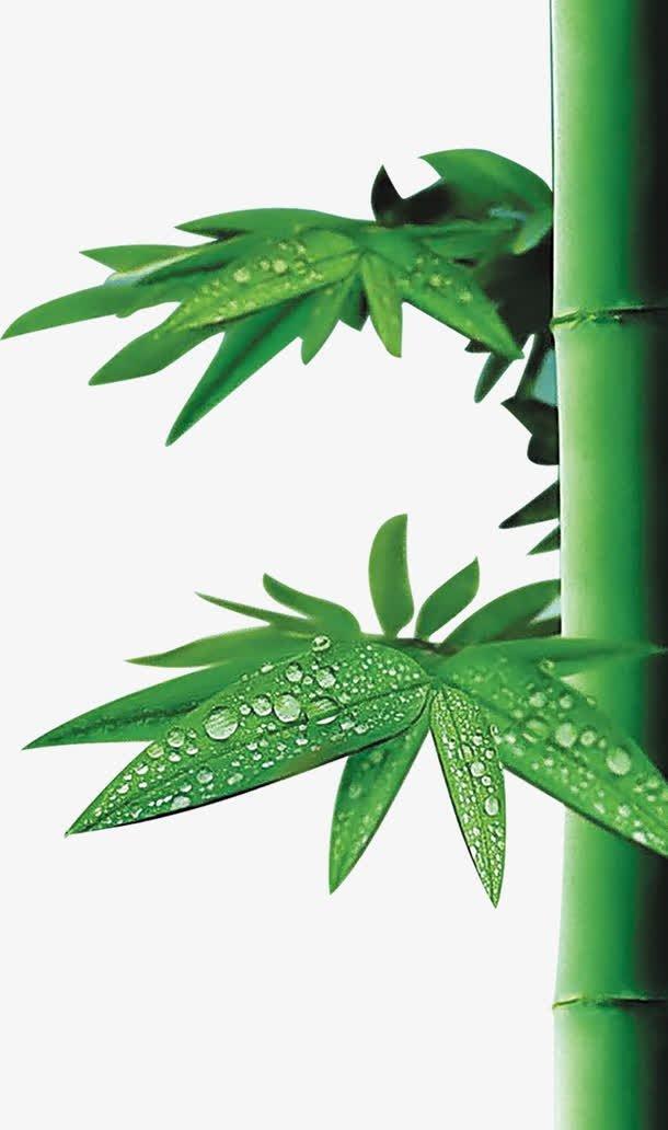 那些年，我们一起争夺的狱花封面