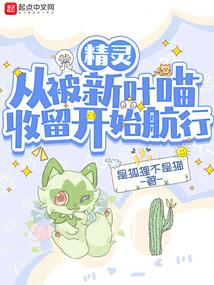 精灵：从被新叶喵收留开始航行封面