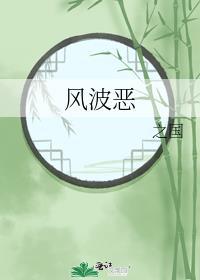 风波恶封面