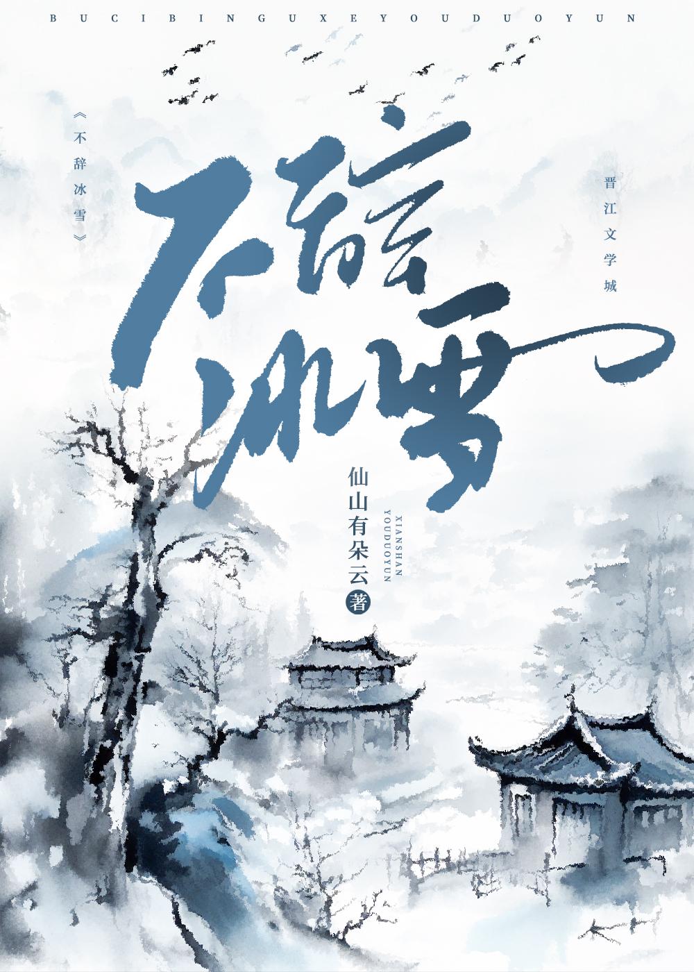 不辞冰雪封面