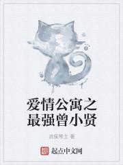 爱情公寓之最强曾小贤封面