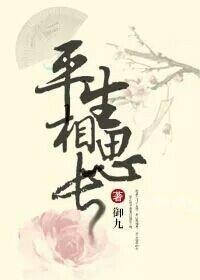 平生相思长封面