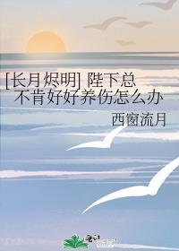 [长月烬明] 陛下总不肯好好养伤怎么办封面