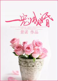 一宠成婚封面