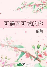可遇不可求的你封面