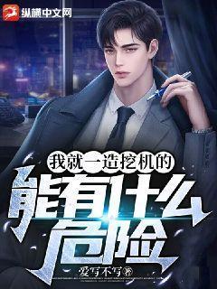 我就一造挖掘机的，能有什么危险？封面