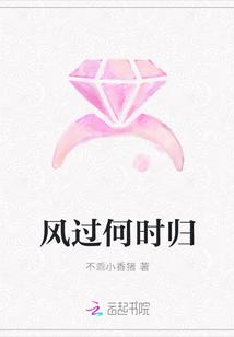 风过何时归封面