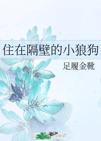 邻居封面