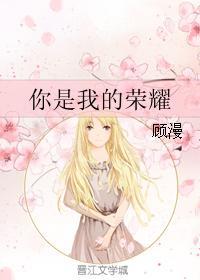 你是我的荣耀h改封面