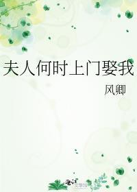 夫人何时上门娶我封面