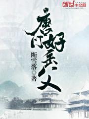 唐朝好岳父封面