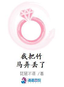 我把竹马弄丢了封面