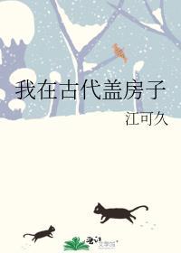 我在古代盖房子封面