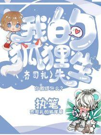 齐司礼：我的狐狸先生封面