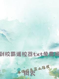 捡到校霸遥控器txt封面
