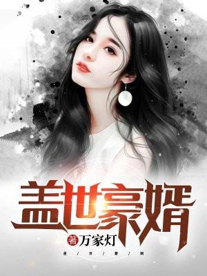 盖世豪婿封面