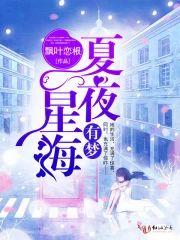 夏夜星海有梦封面