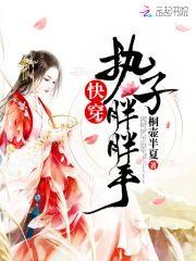 快穿执子胖胖手封面
