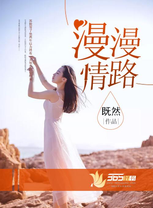 漫漫情路封面