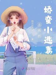 总裁的娇蛮小逃妻封面