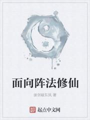 面向阵法修仙封面