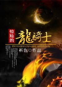 惊险的龙骑士封面