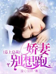 黎健石丽欣封面