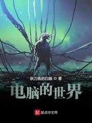 电脑的世界封面