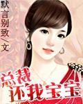 总裁，还我宝宝封面