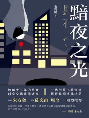 黯夜之光（尘封十三载）封面