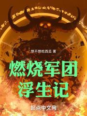 燃烧军团浮生记封面