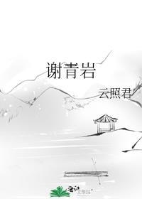 谢青岩封面