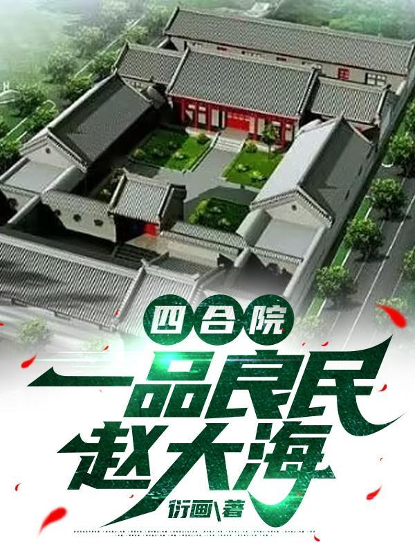四合院一品良民赵大海封面