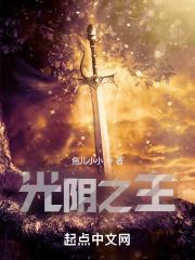 一剑平天下封面