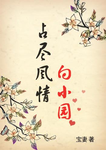 占尽风情向小园封面