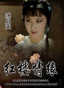 红楼情缘封面