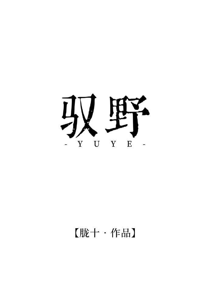 驭野封面