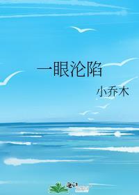 一眼沦陷封面